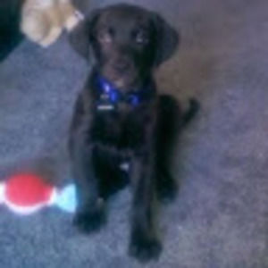 Meet your Posher, Kelsey